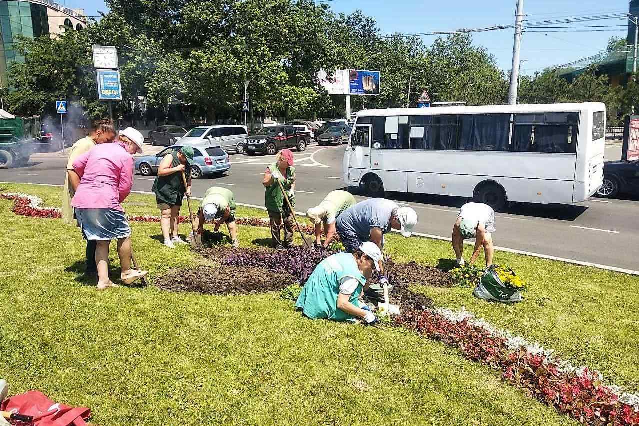 Центр Одессы украсили 3,5 тысячи цветов. Фото