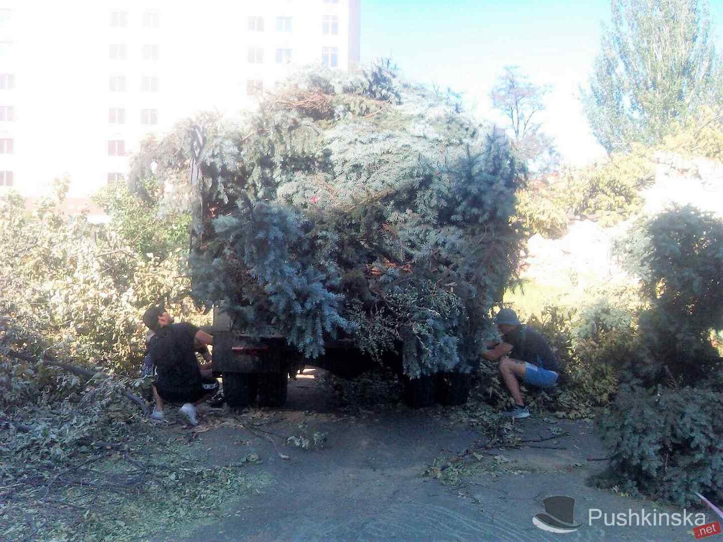 На Гагаринском плато активисты сломали ворота и прорвались на территорию, где спилили более 200 деревьев. Фото