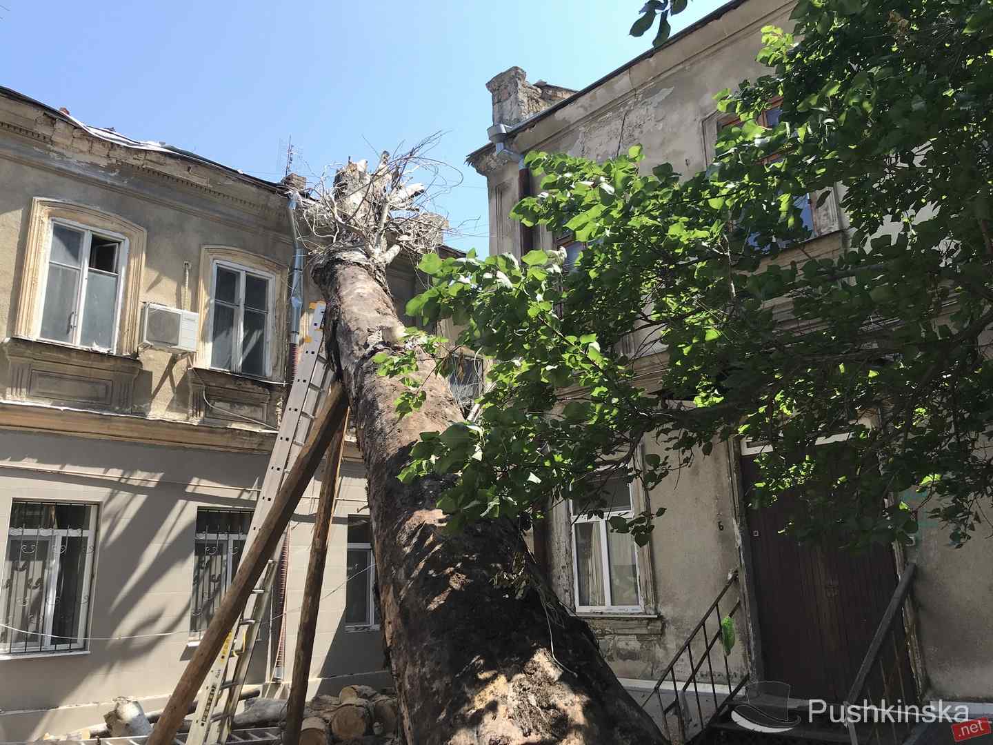 На Княжеской рухнуло большое дерево, зацепило автомобили и «приземлилось» на дом. Фото