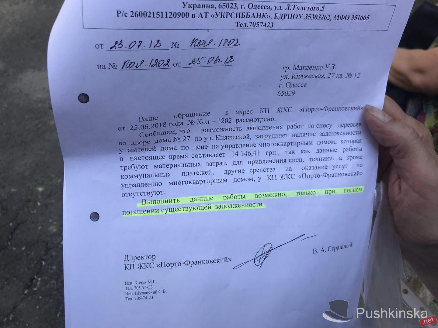 На Княжеской рухнуло большое дерево, зацепило автомобили и «приземлилось» на дом. Фото