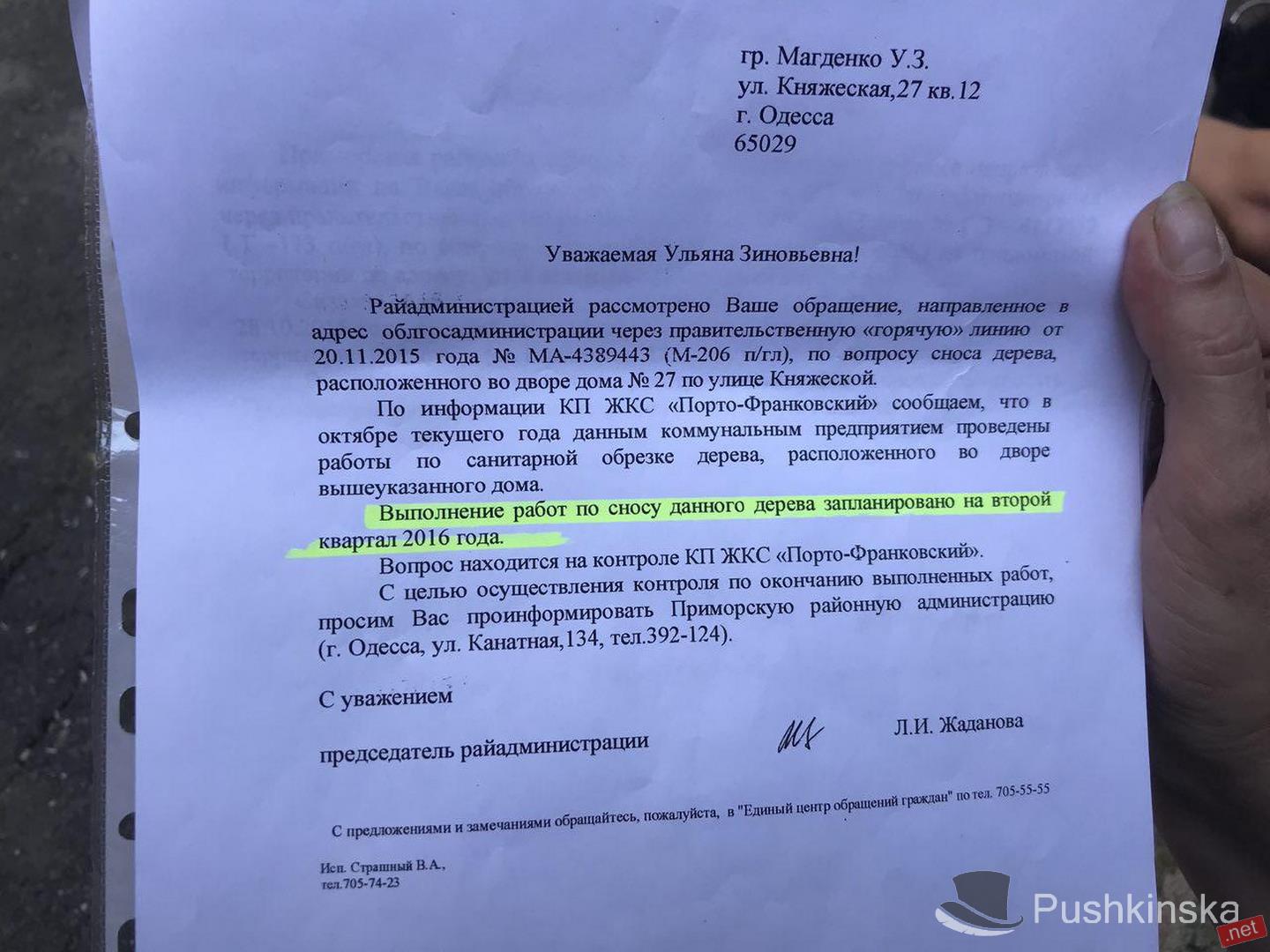 На Княжеской рухнуло большое дерево, зацепило автомобили и «приземлилось» на дом. Фото