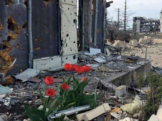 На руинах аэропорта Донецка расцвели тюльпаны