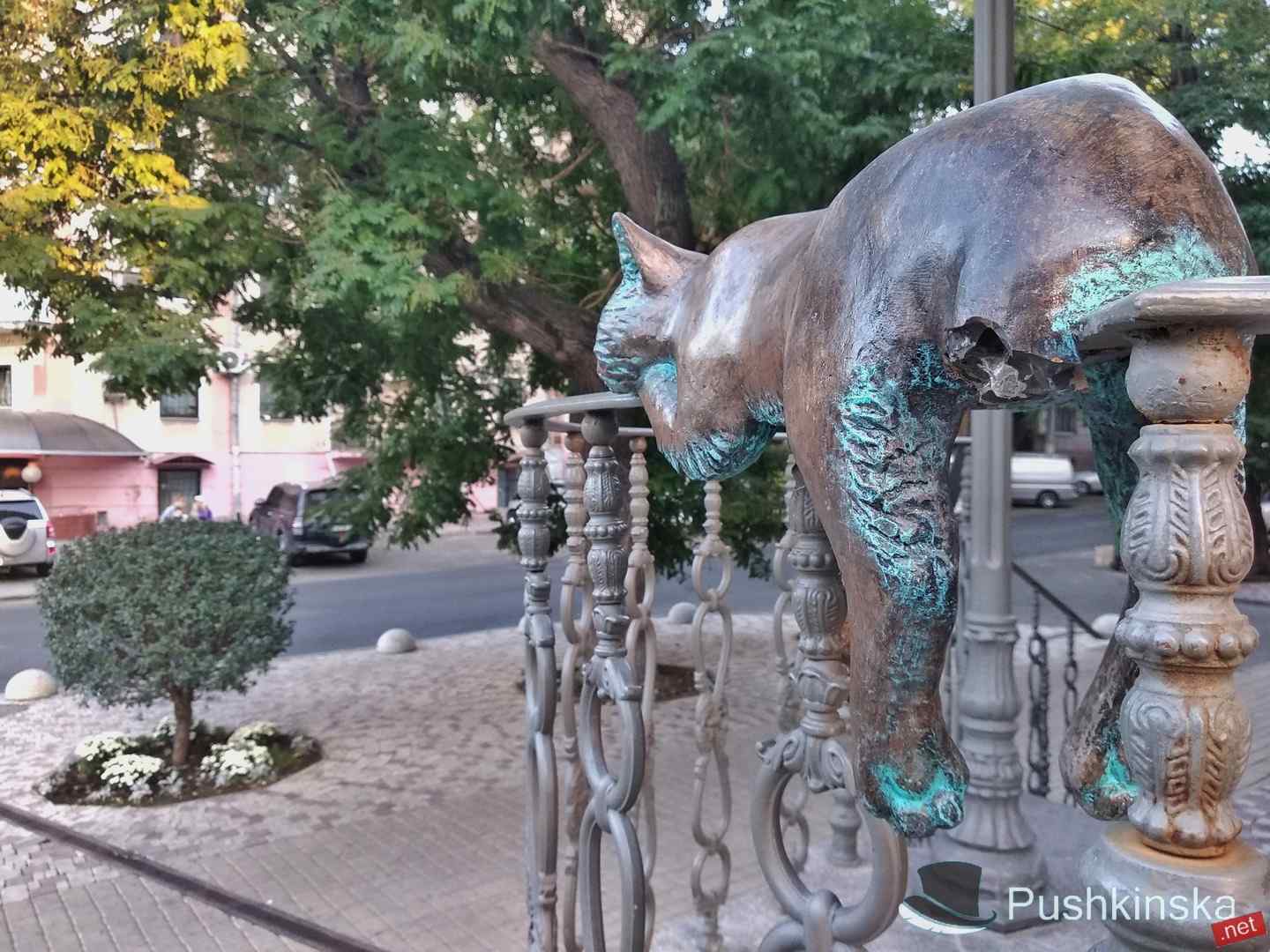 Офисному котику в Одессе вандалы оторвали хвост. Фото