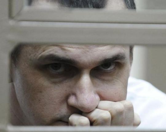 Российская правозащитница попросила Макрона помочь освободить Сенцова