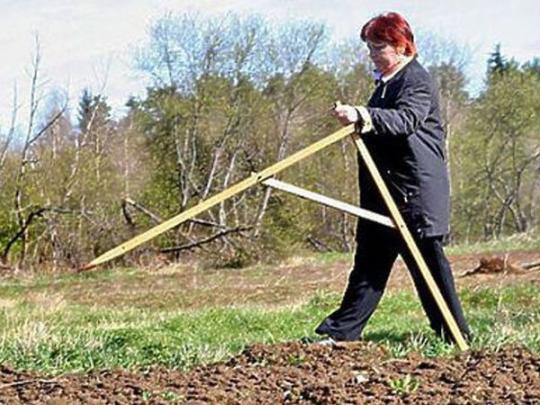 Секретарь сельсовета на Черкасчине выделила террористу из ДНР 2 га земли