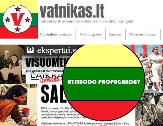 В Литве запустили аналог украинского сайта Миротворец под названием Vatnikas