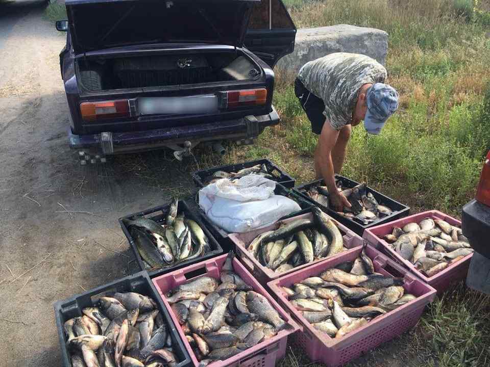 В Одесской области задержали автомобиль с двумястами килограммами рыбы. Фото