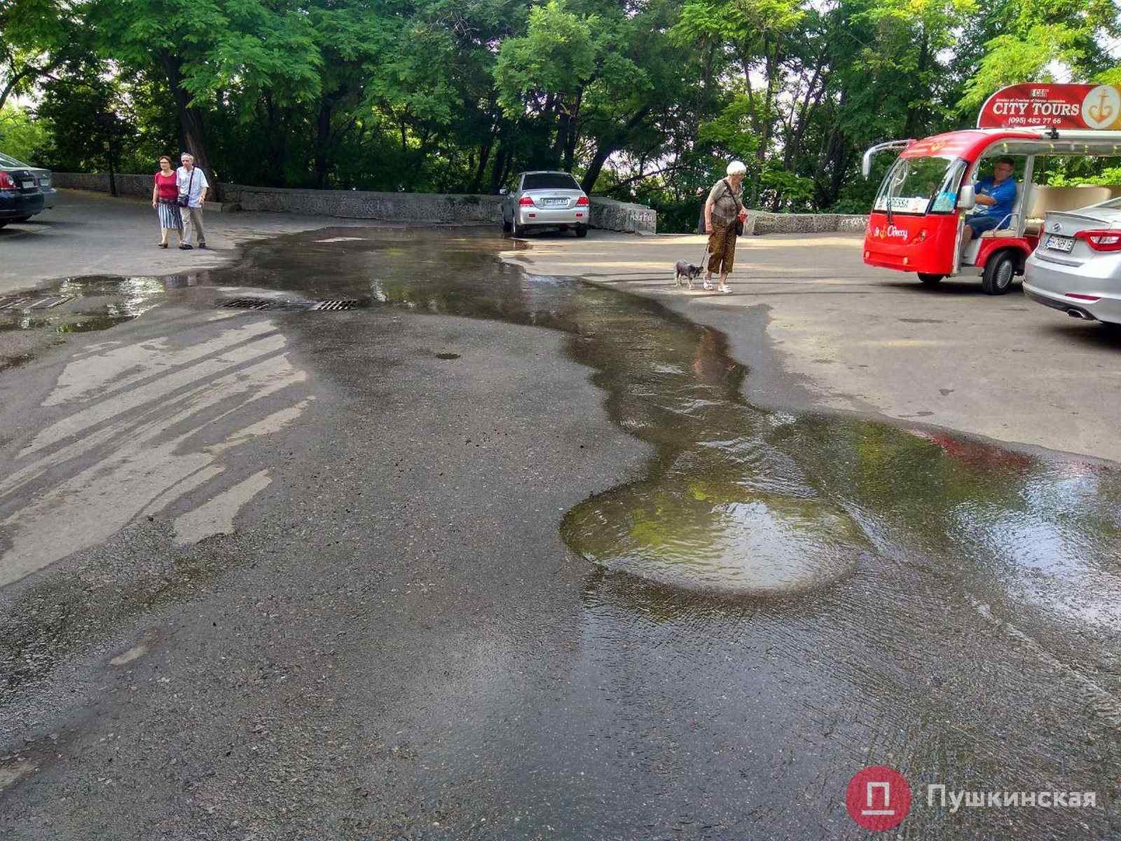 В районе Тещиного моста образовалась мини-река. Фото