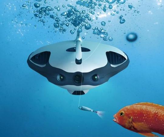 ВМС Румынии потеряли единственный подводный дрон