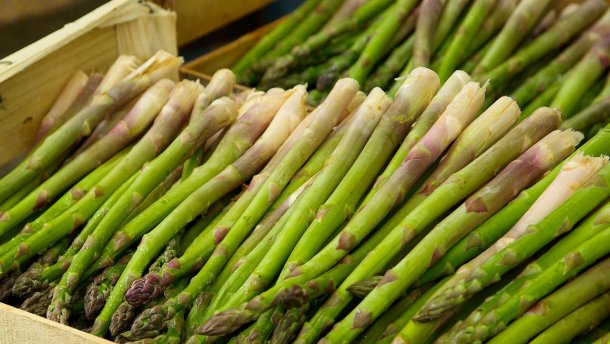 Аграрії шукають нішеві продукти