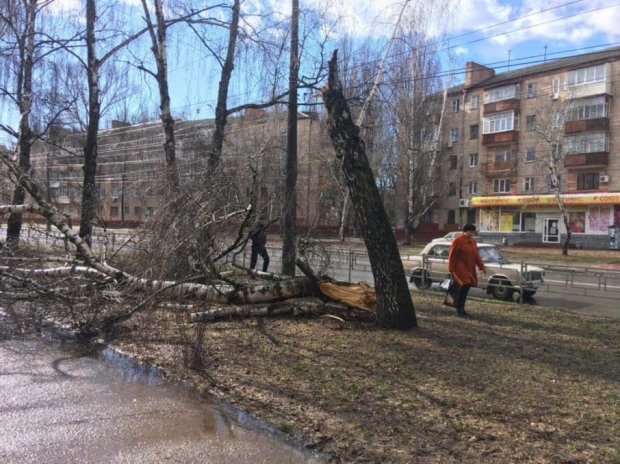 Без світла через негоду – 62 населених пункти Чернігівщини