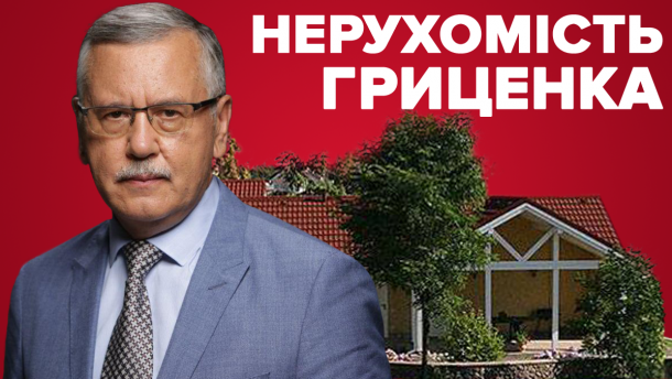 Дача та квартири дружини: якою нерухомістю володіє Анатолій Гриценко