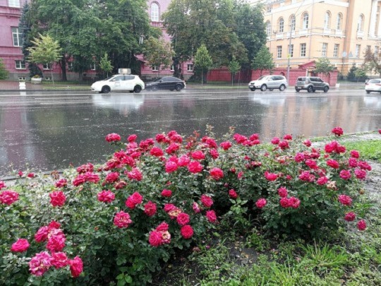 Дожди и даже грозы: синоптики озвучили свежий прогноз погоды на выходные