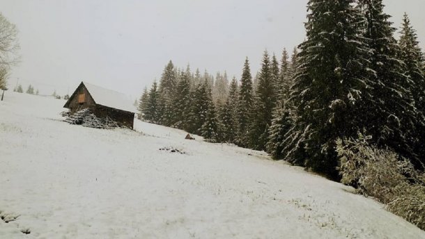 Карпаты засыпает снегом: яркие фото и видео