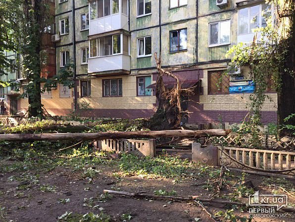 Кривой Рог накрыла мощная буря с грозой, есть жертвы: фото, видео