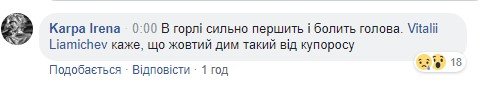 Люди плакали, а католики тихо пели, – писательница Ирена Карпа о пожаре в Нотр-Даме