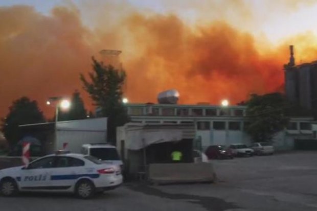 На азотному заводі у Туреччині пролунав вибух: відео