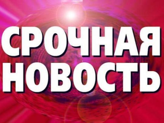 Нападение на активистку Гандзюк: подозреваемый взят под стражу
