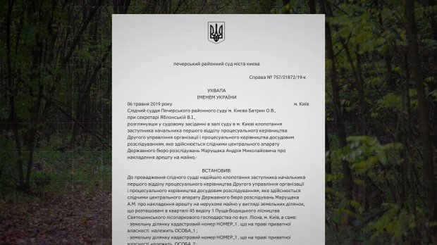 Найдорожча земля в Україні: кому роздають ділянки в Пущі-Водиці