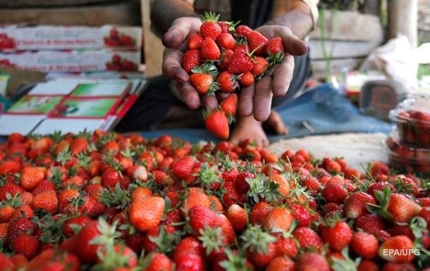 Названы защищающие кожу от старения продукты