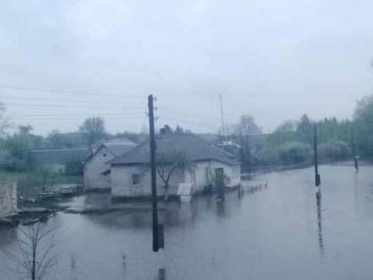Непогода в Украине: в Тернопольской области затопило дома (фото)