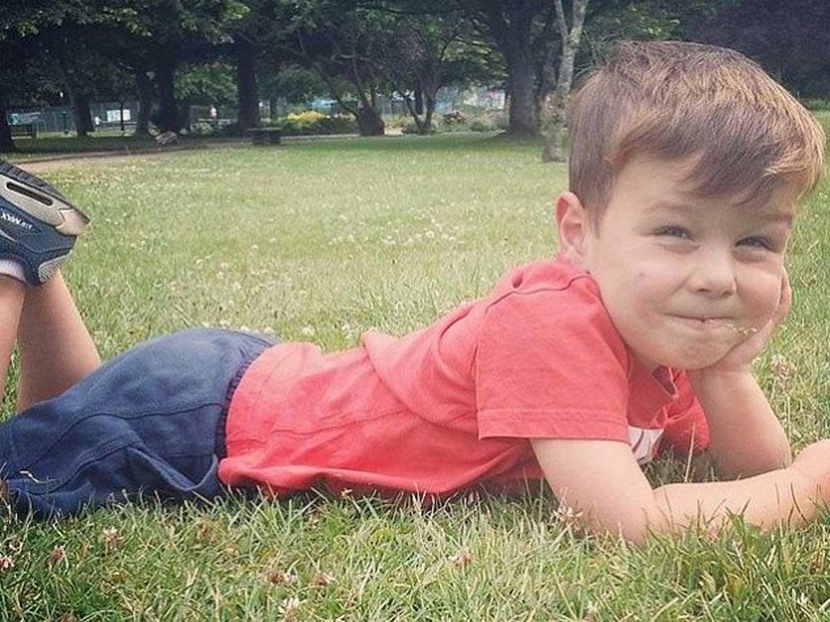 Оставил кровавое месиво: обезумевший питбуль растерзал 9-летнего мальчика
