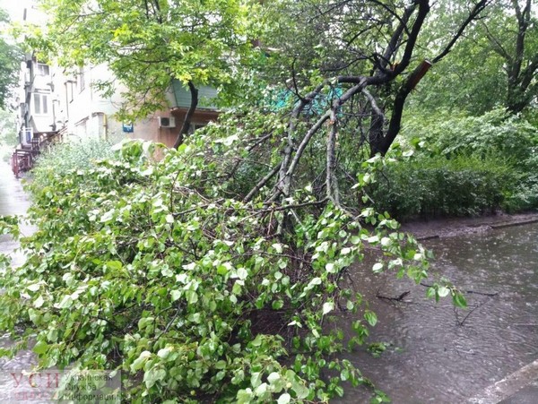 Потоп на улицах и необычный град: на Одессу обрушилась непогода (фото)