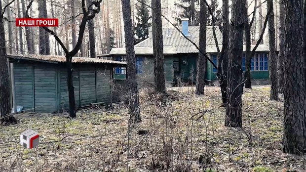 Розкішні будинки на державних землях: як чиновники захоплюють території Пущі-Водиці