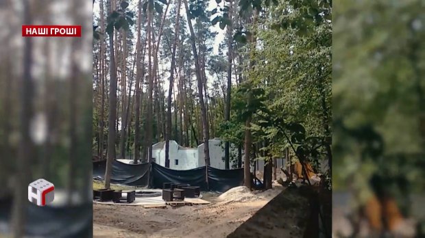 Розкішні будинки на державних землях: як чиновники захоплюють території Пущі-Водиці