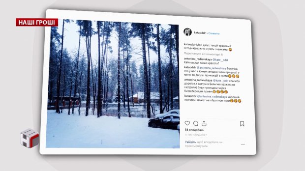 Розкішні будинки на державних землях: як чиновники захоплюють території Пущі-Водиці