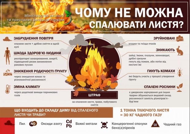 Що робити з сухою травою та листям: безпечні рішення