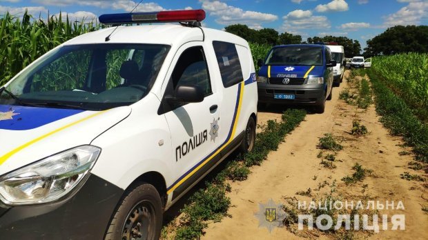 Сотрудницу Верховной Рады вероятно убили: фото