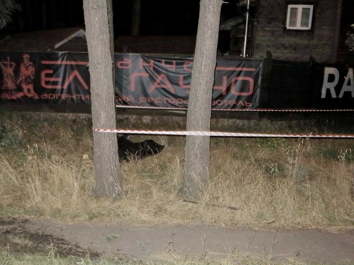 Трагедия в Киеве: при столкновении автомобилей «Жигули» и ŠKODA погиб мужчина