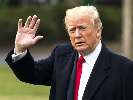 Трамп поздравил Зеленского с победой на выборах: стали известны детали