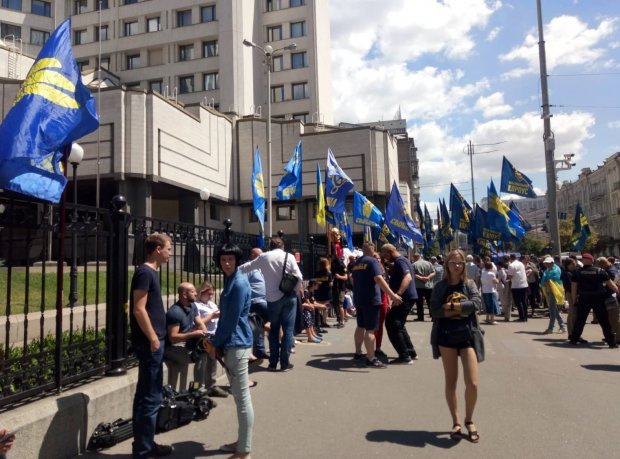 Угроза отмены закона об Очищении власти: активисты вышли на митинг (фото)