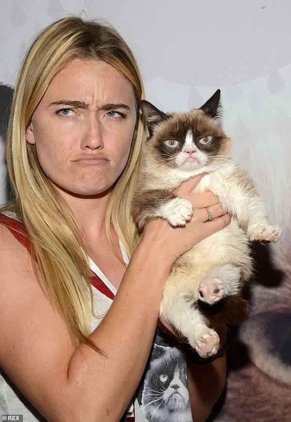 Умерла интернет-легенда — сердитая кошка Grumpy Cat (фото, видео) Умерла интернет-легенда — сердитая кошка Grumpy Cat (фото, видео)