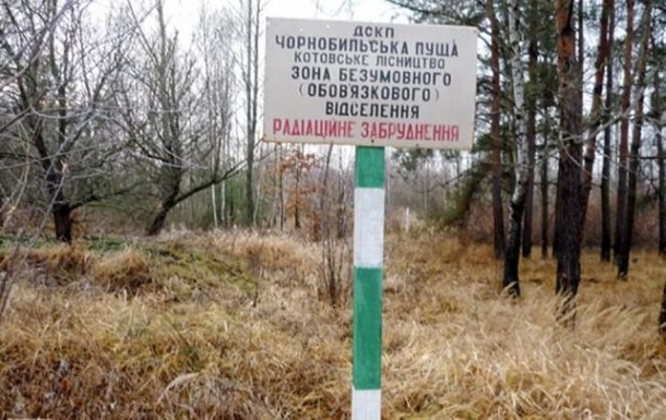 В Чернобыльской зоне горит лес