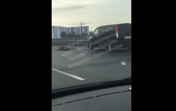 В Киеве на мосту Mercedes сбил насмерть лося