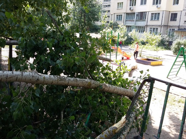 В Одессе на две детские площадки рухнули ветки деревьев