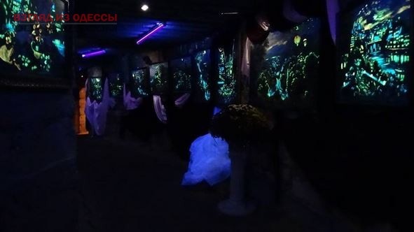 В Одесских катакомбах открыли картинную галерею