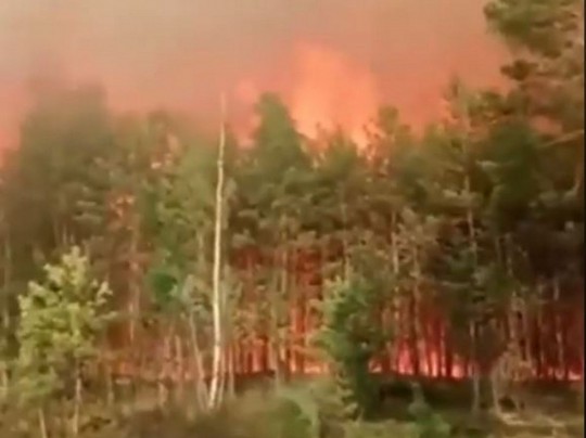 В одном из крупнейших заповедников Украины вспыхнул пожар: видео с места ЧП