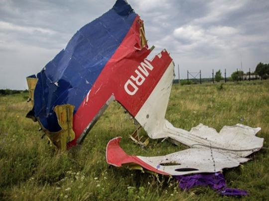 В Украине сосчитали версии катастрофы МН17, за которыми хотел спрятаться Путин
