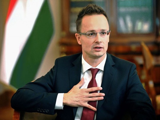 Венгрию возмутил украинский языковой закон