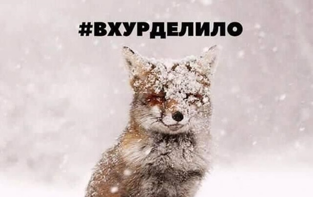 Вхурделило: реакция Сети на погоду 1 марта