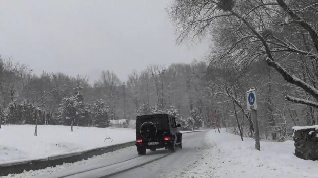 Як курки з Нашої Ряби зробили у парку Феофанія автобан