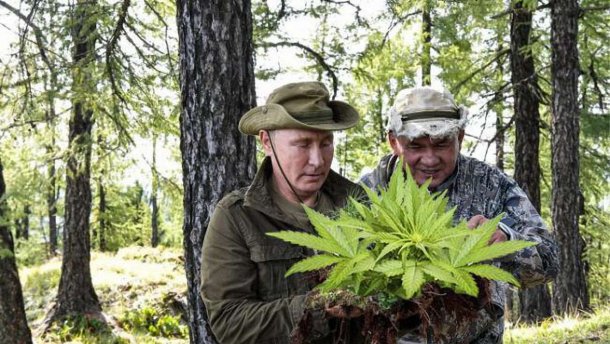 Збирав марихуану: соцмережі глузують з вікенду Путіна