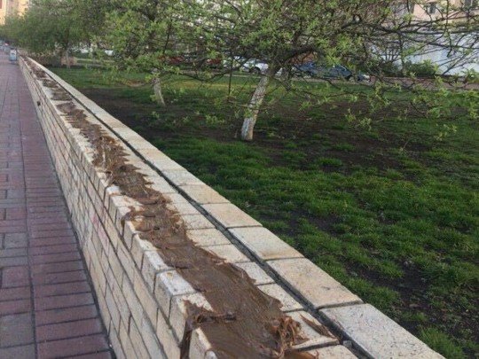Жители Киева нашли необычный способ борьбы с шумными компаниями: сеть в недоумении (фото)