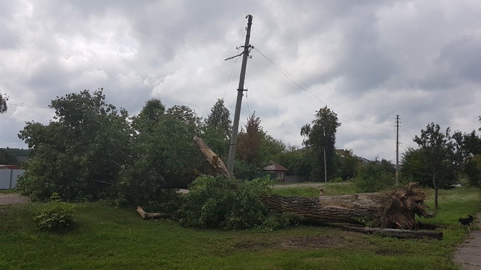 Енергетики долають наслідки стихії в області (Фото)