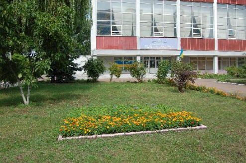 Уряд схвалив рішення про зростання зарплат тренерів дитячих спортивних шкіл