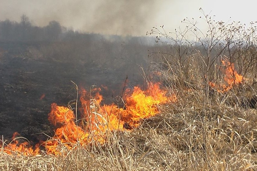 Чернігівська область: вогнеборці ліквідували 12 пожеж